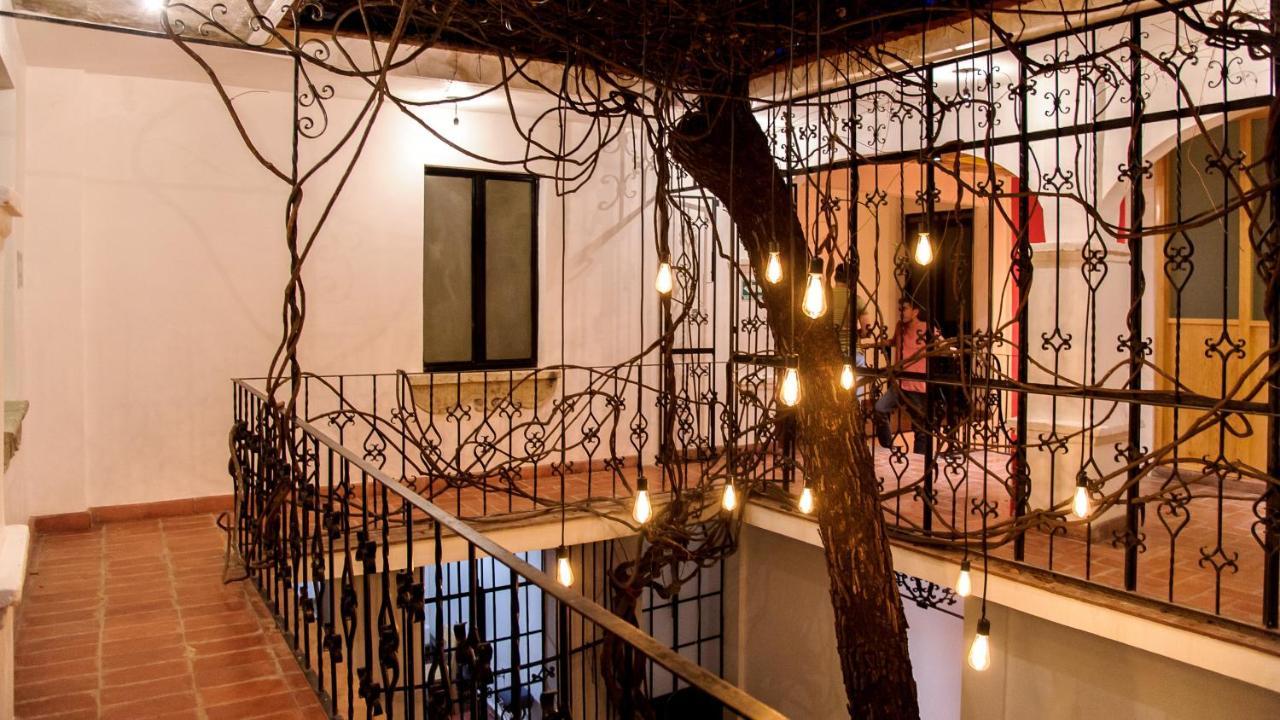 Agrado Guest House Oaxaca Экстерьер фото